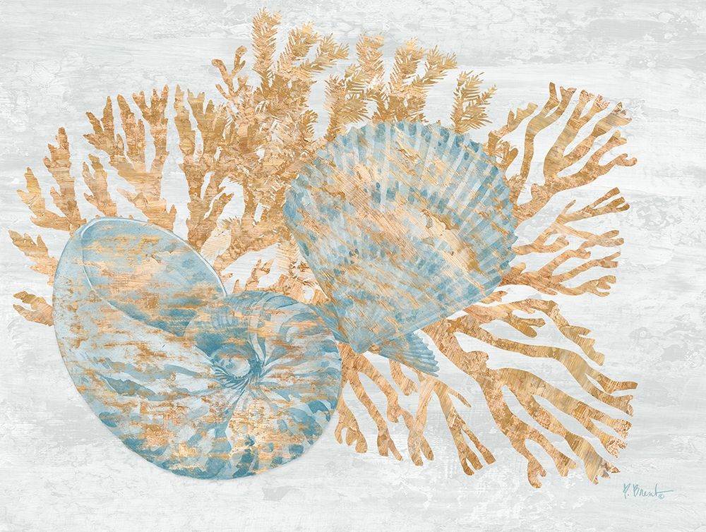 Shimmering Shells I art print by Paul Brent for $57.95 CAD