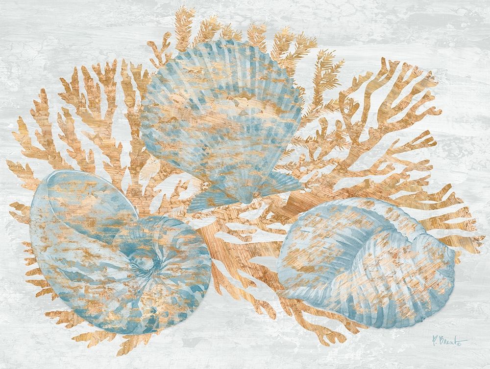 Shimmering Shells II art print by Paul Brent for $57.95 CAD