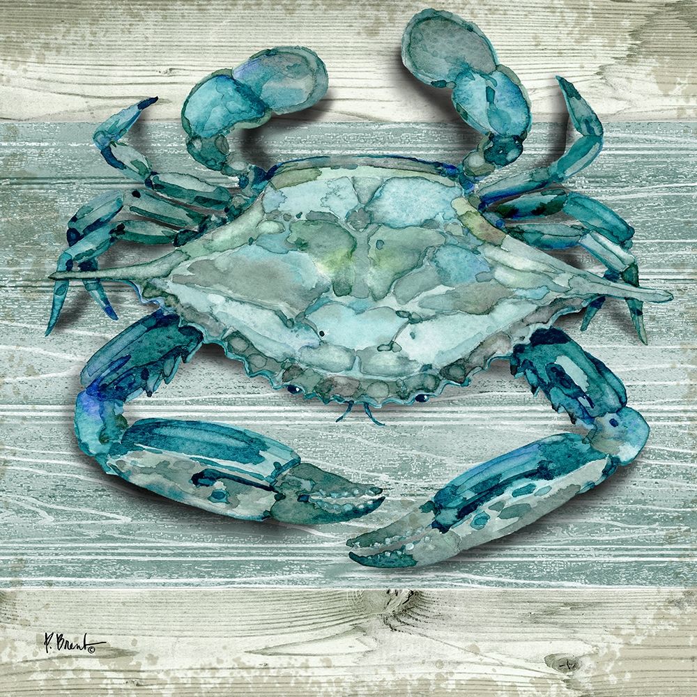 Northpoint Sealife I art print by Paul Brent for $57.95 CAD