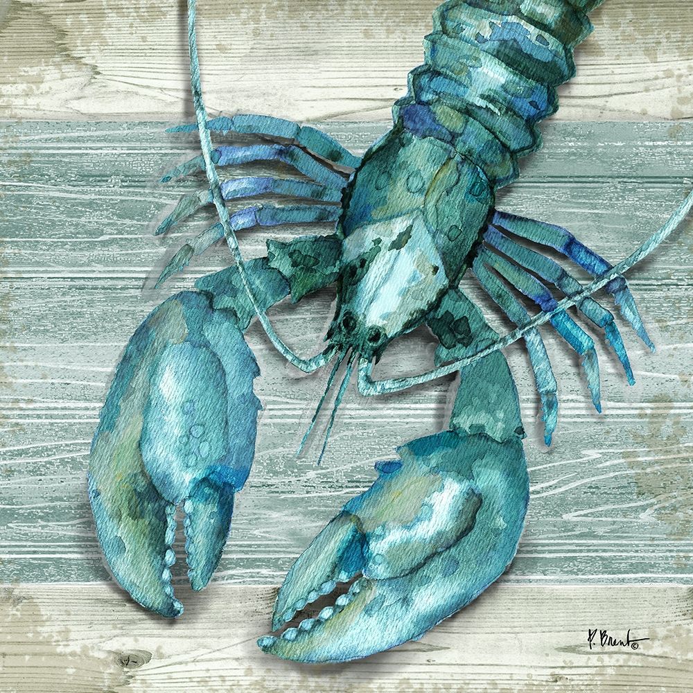 Northpoint Sealife II art print by Paul Brent for $57.95 CAD