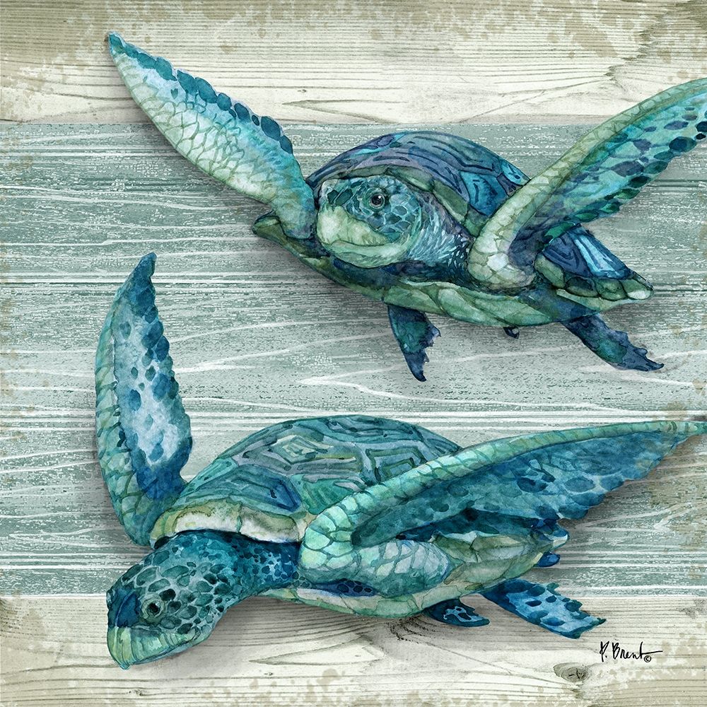 Northpoint Sealife IV art print by Paul Brent for $57.95 CAD