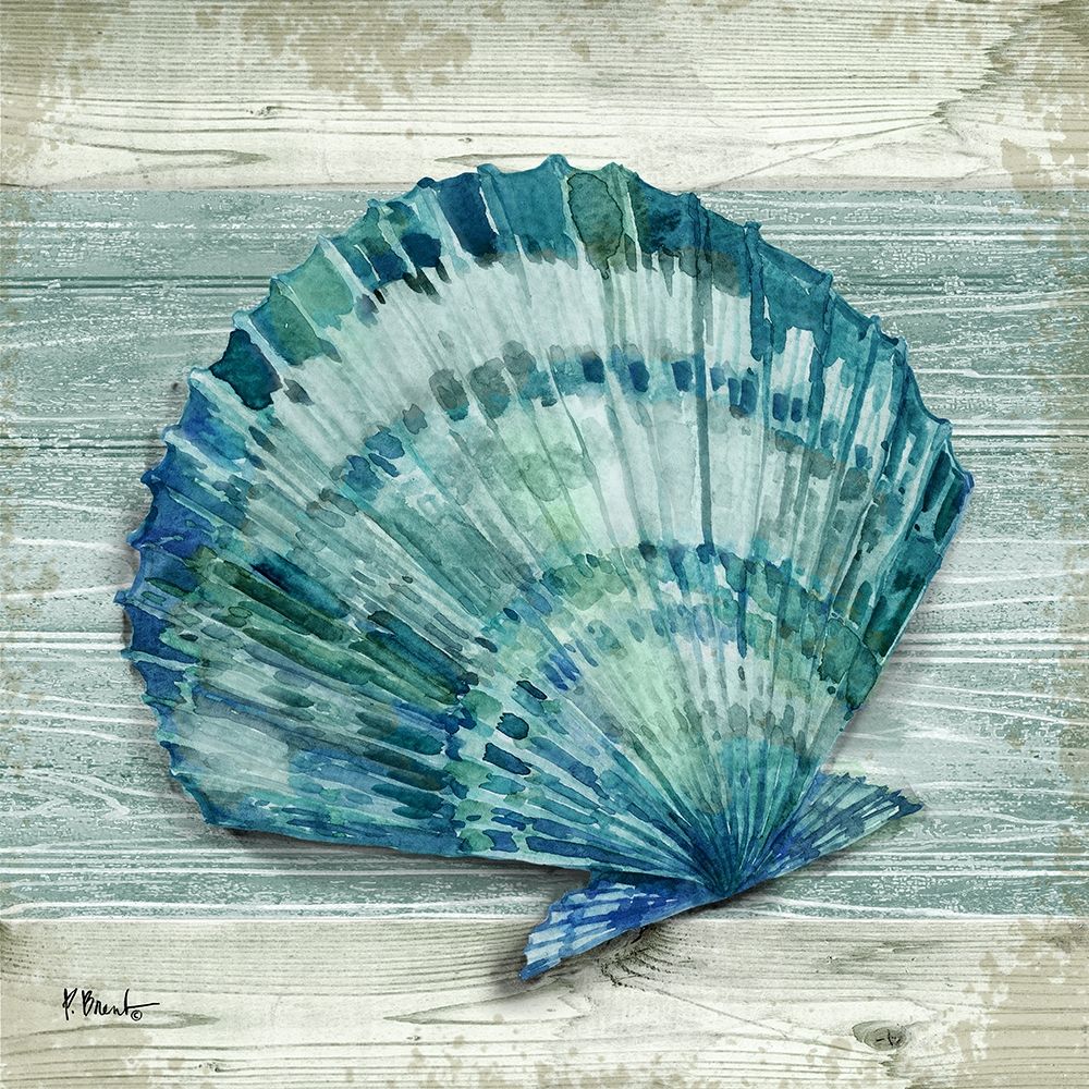 Northpoint Shells II art print by Paul Brent for $57.95 CAD