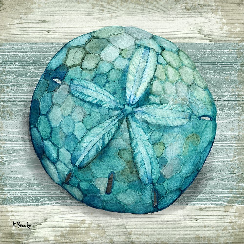 Northpoint Shells IV art print by Paul Brent for $57.95 CAD