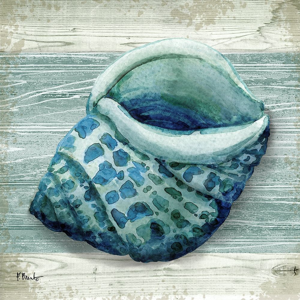 Northpoint Shells VI art print by Paul Brent for $57.95 CAD