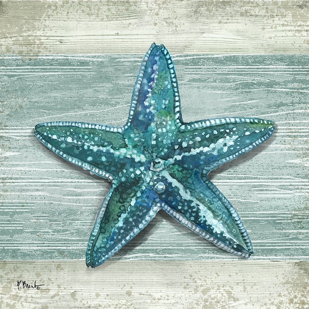 Northpoint Shells VII art print by Paul Brent for $57.95 CAD