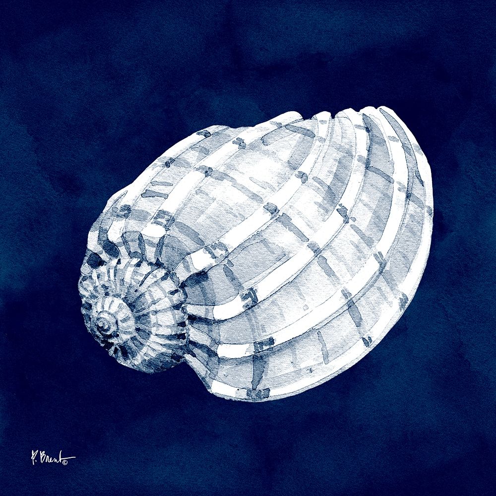 Cyano Shells I art print by Paul Brent for $57.95 CAD