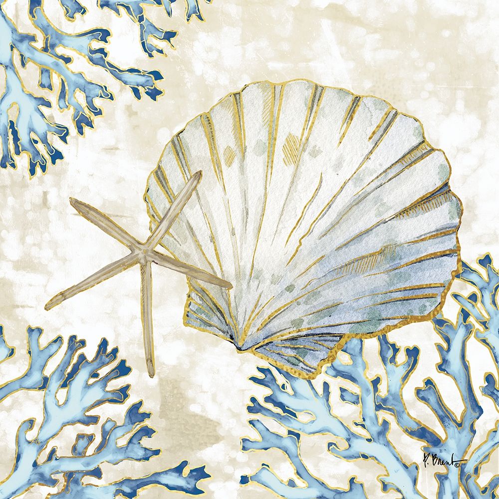 Playa Shells II art print by Paul Brent for $57.95 CAD