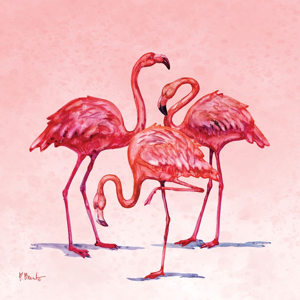 Hilo Flamingos II art print by Paul Brent for $57.95 CAD