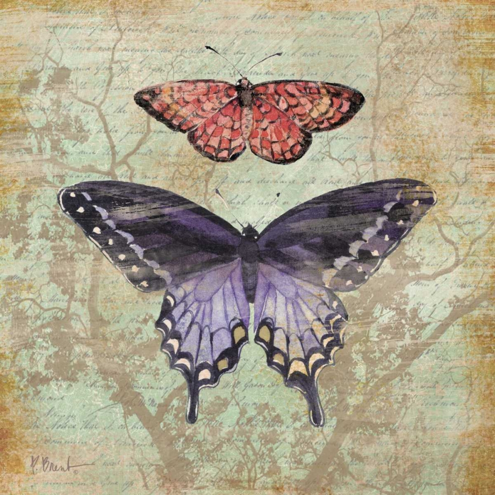 Vintage Butterflies IV art print by Paul Brent for $57.95 CAD