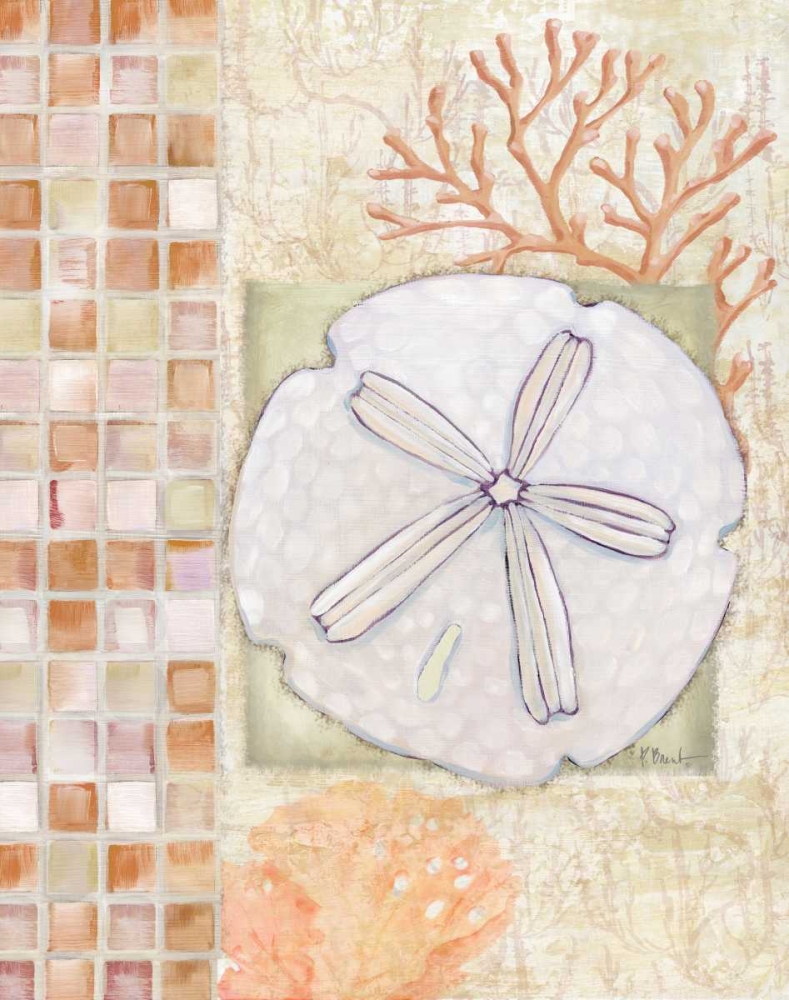 Mosaic Shell Collage IV art print by Paul Brent for $57.95 CAD