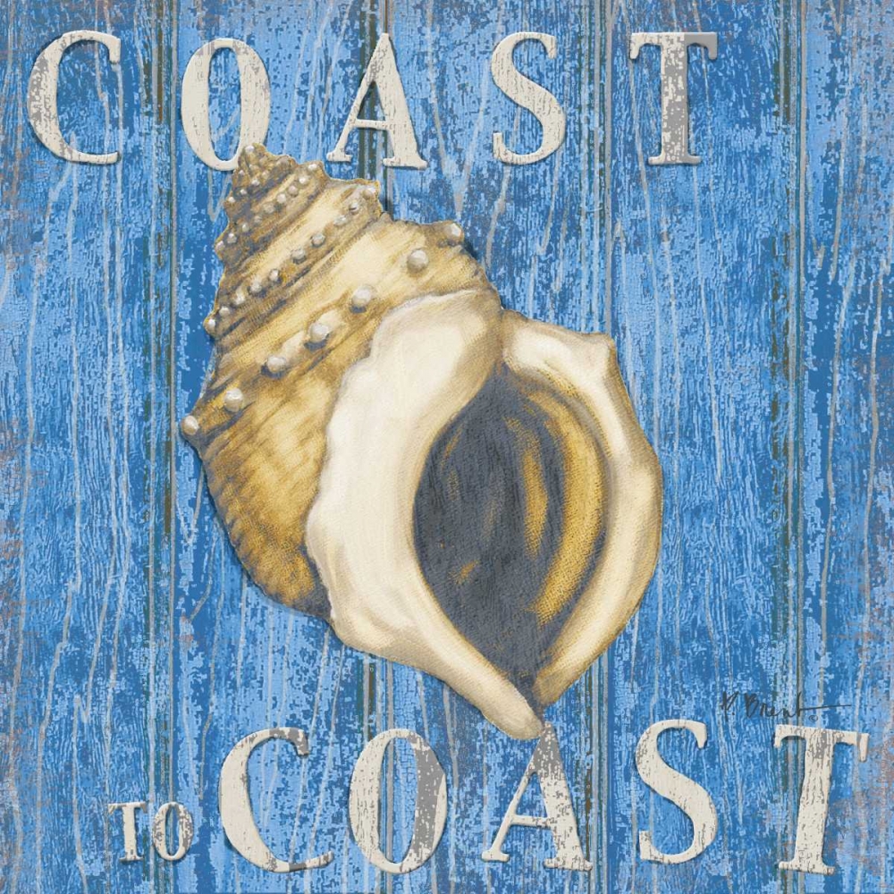 Coastal USA Conch art print by Paul Brent for $57.95 CAD