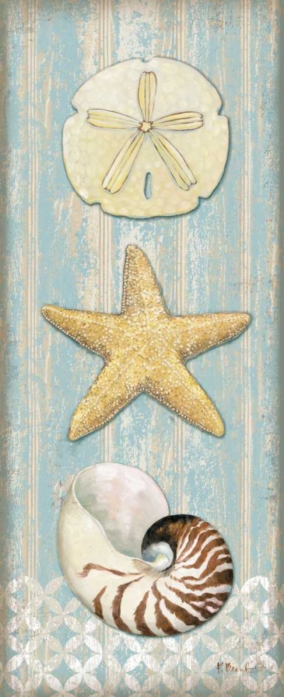 Spa Shells Vertical I art print by Paul Brent for $57.95 CAD