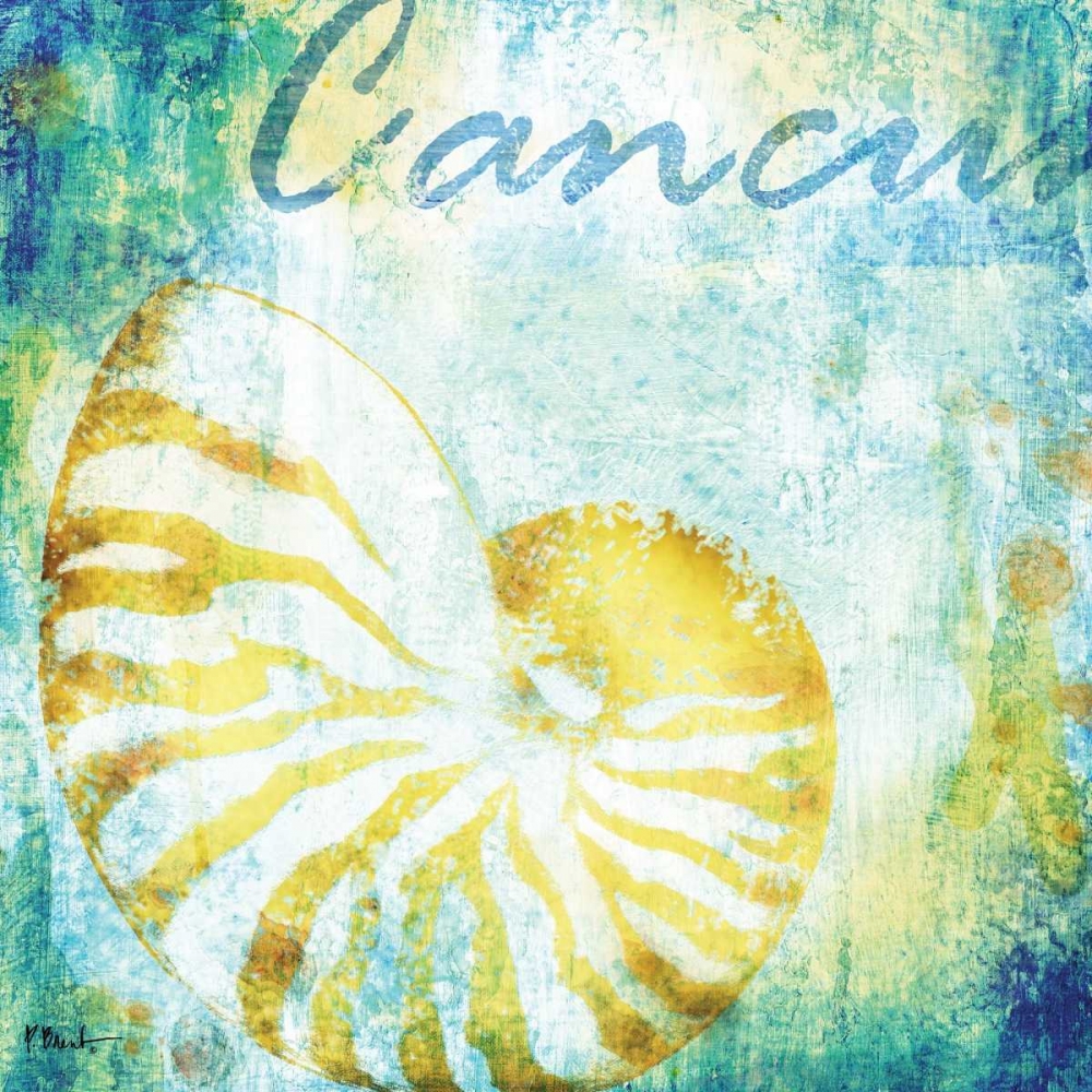 Martinique Shells I art print by Paul Brent for $57.95 CAD