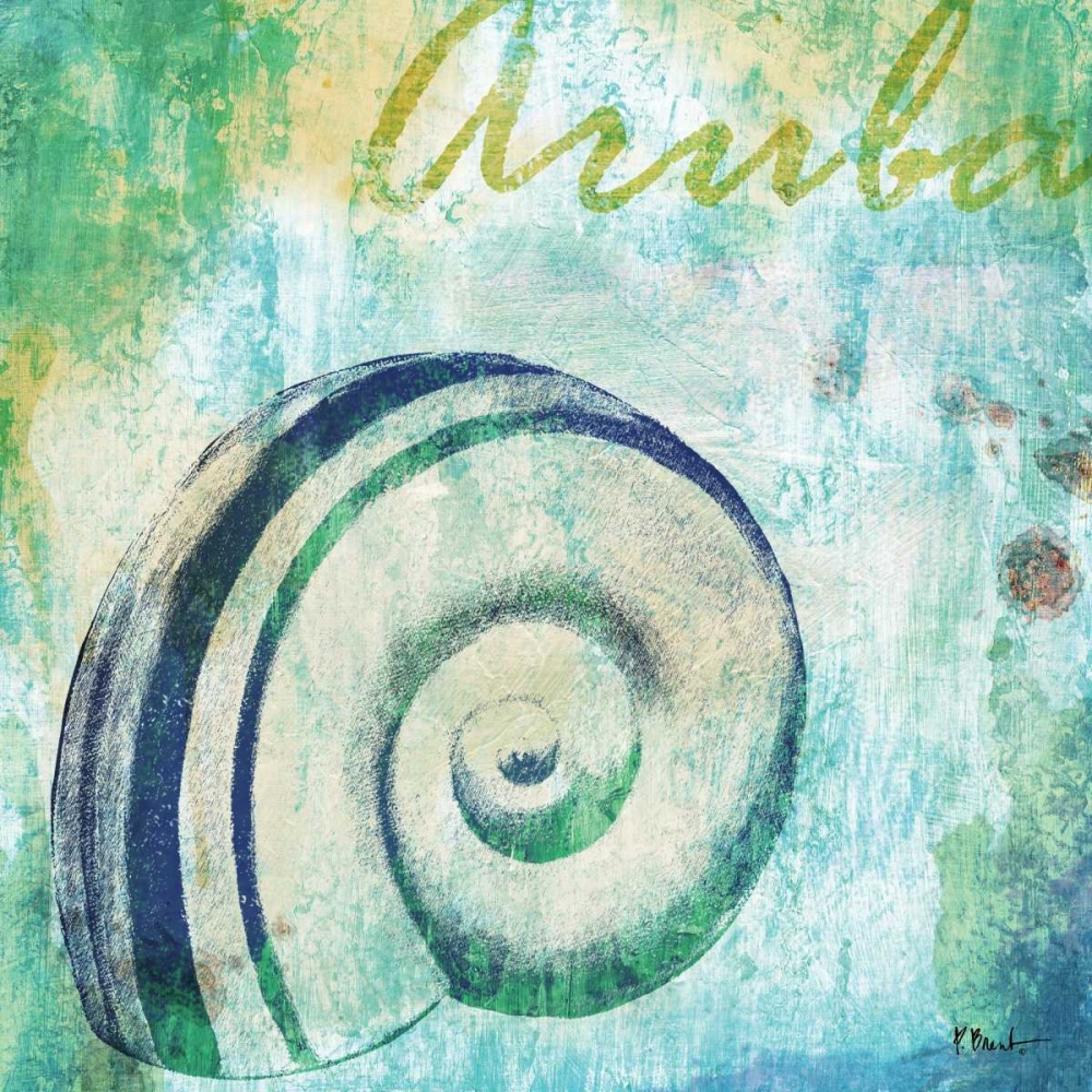 Martinique Shells III art print by Paul Brent for $57.95 CAD
