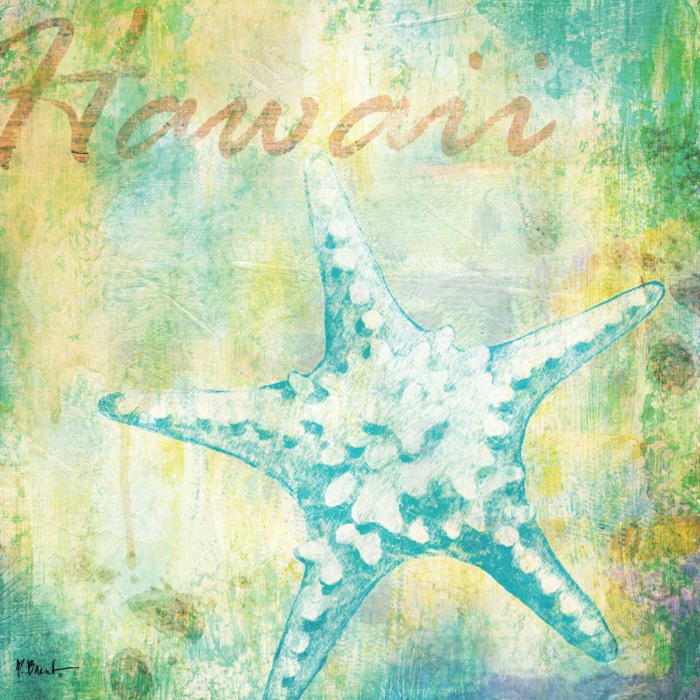 Martinique Shells IV art print by Paul Brent for $57.95 CAD