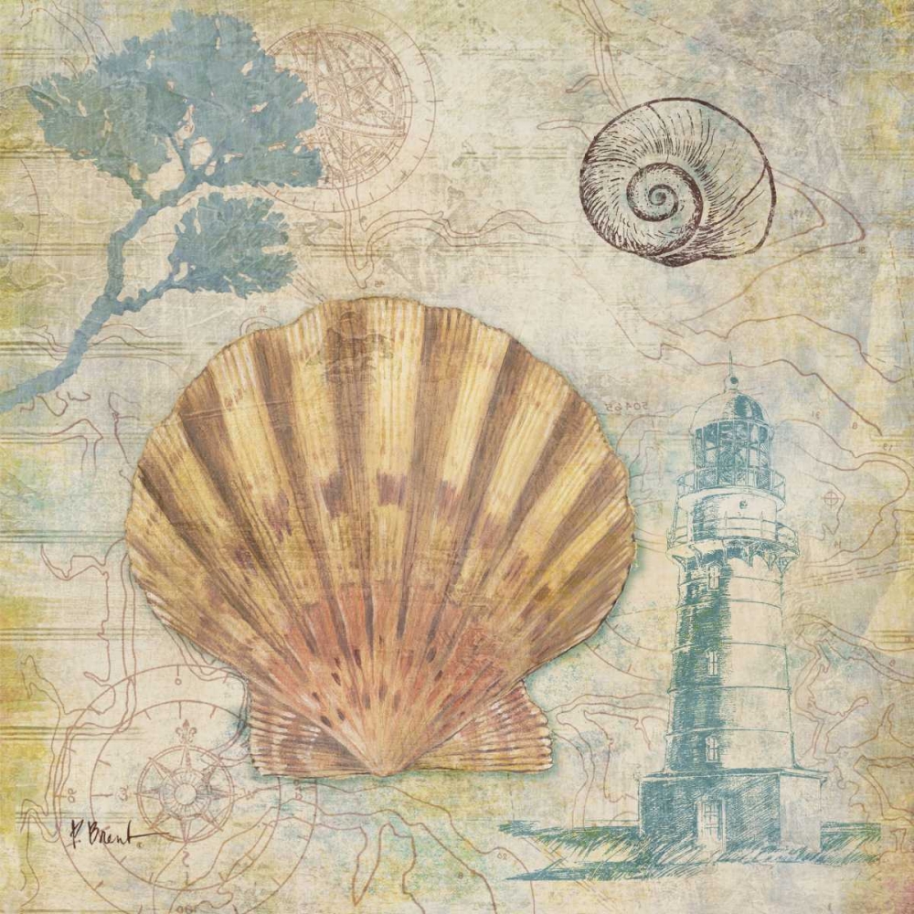 Discovery Shell II art print by Paul Brent for $57.95 CAD