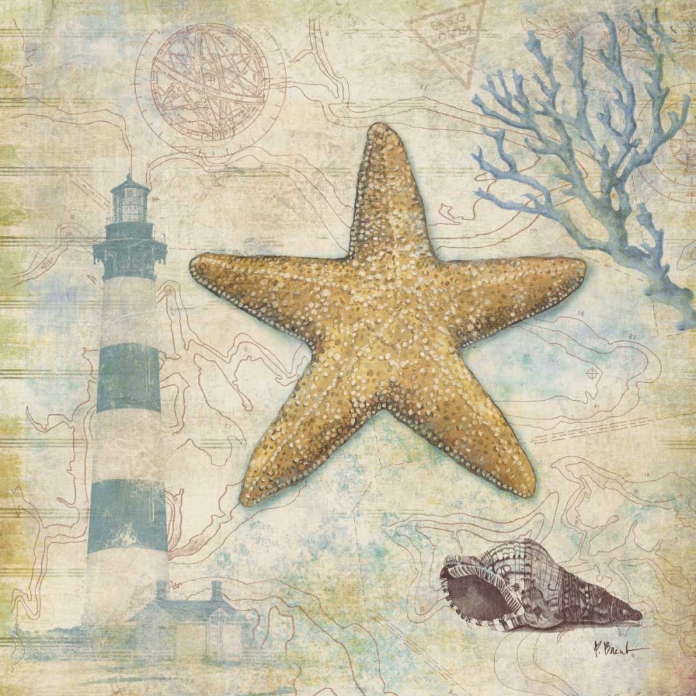 Discovery Shell III art print by Paul Brent for $57.95 CAD