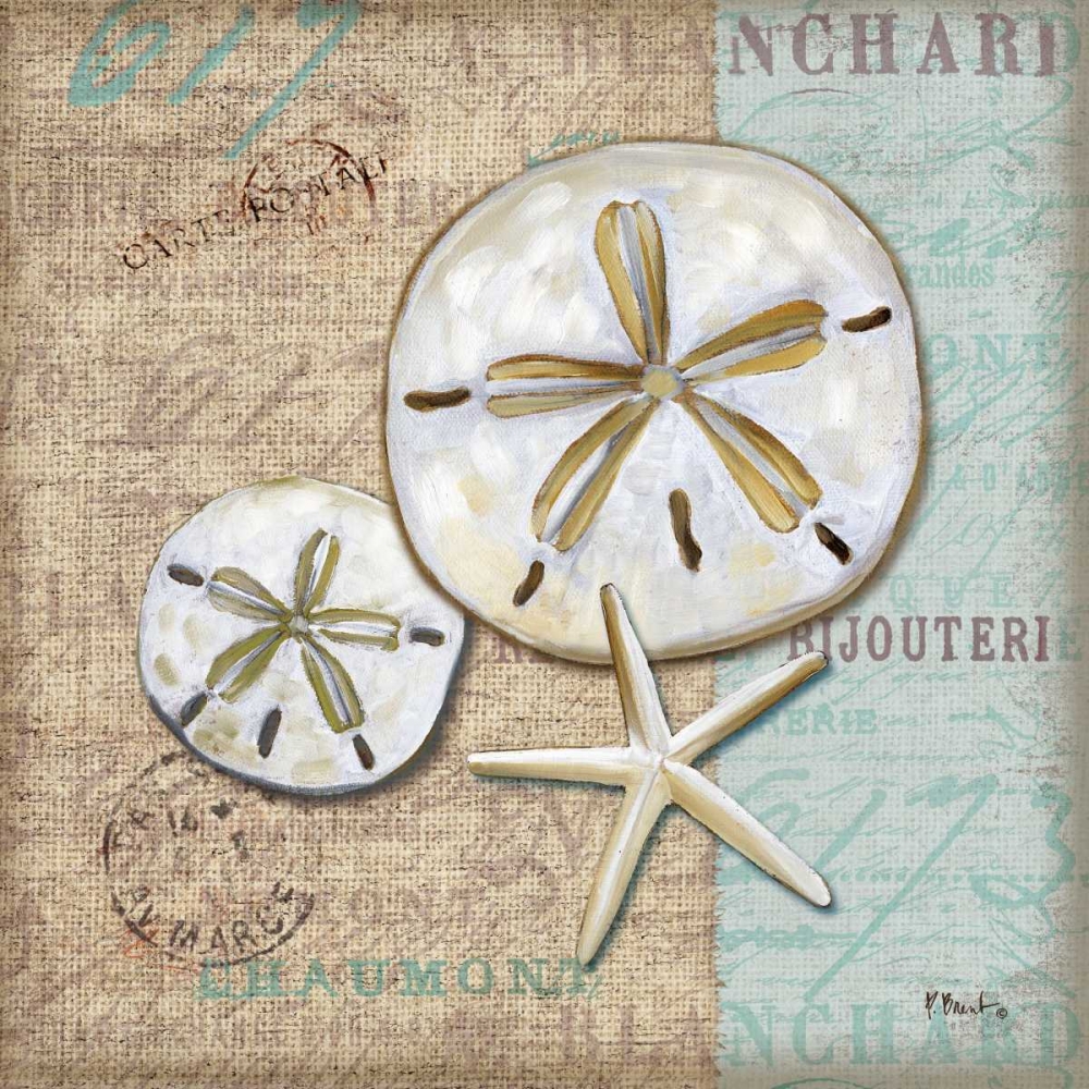 Linen Shells II art print by Paul Brent for $57.95 CAD