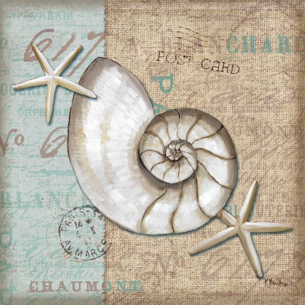 Linen Shells III art print by Paul Brent for $57.95 CAD