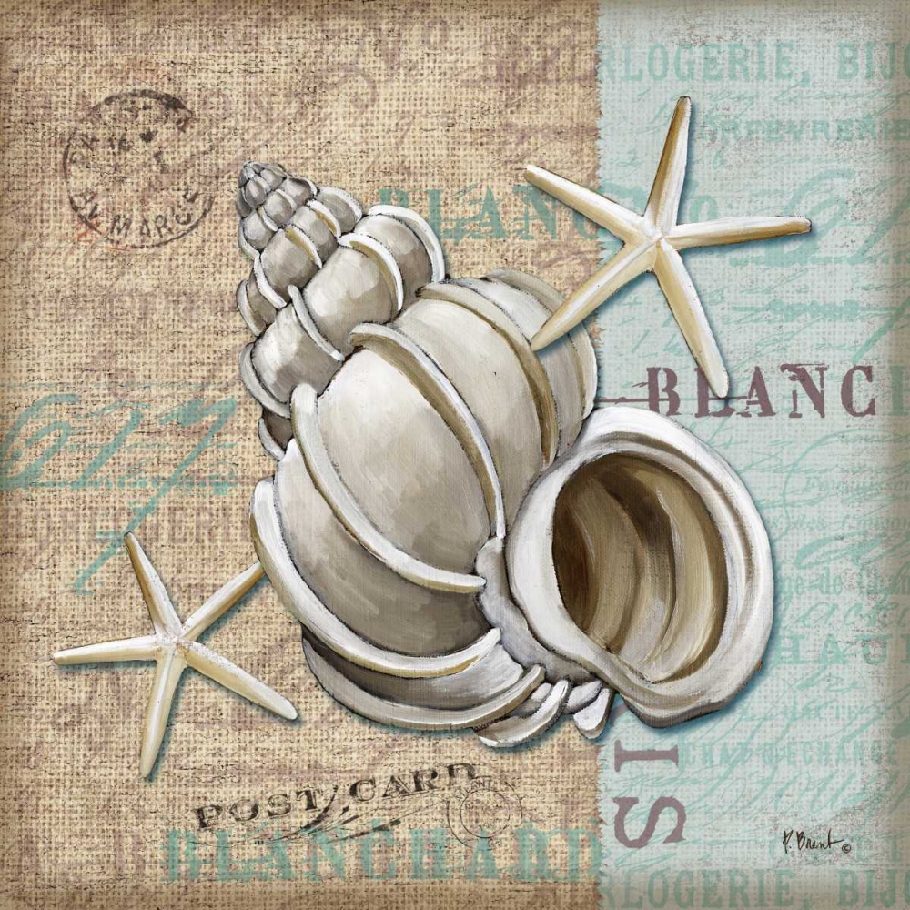 Linen Shells IV art print by Paul Brent for $57.95 CAD