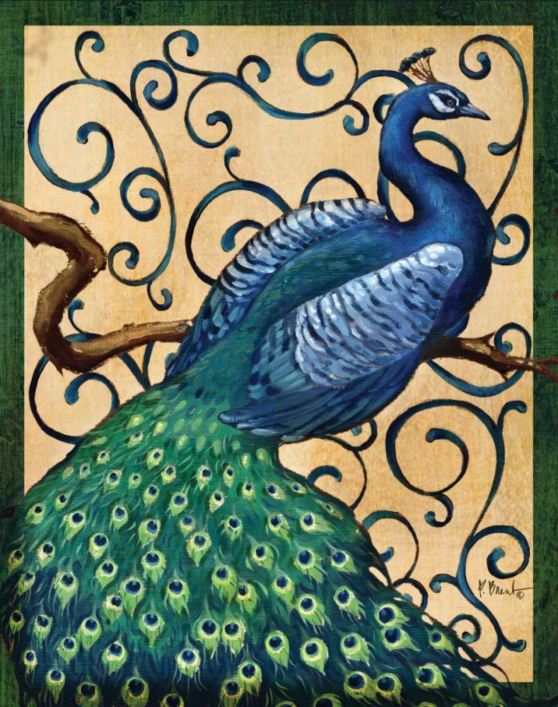 Majestic Peacock I art print by Paul Brent for $57.95 CAD