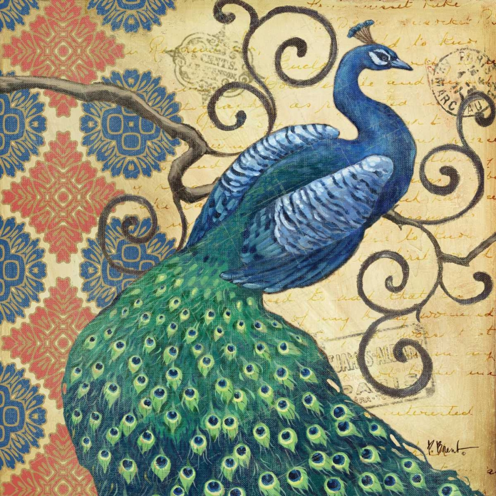 Peacocks Splendor I art print by Paul Brent for $57.95 CAD