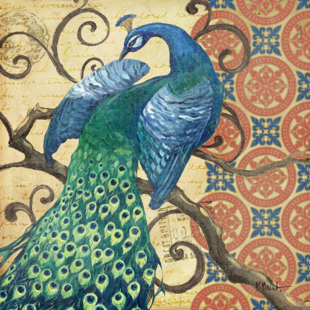 Peacocks Splendor II art print by Paul Brent for $57.95 CAD