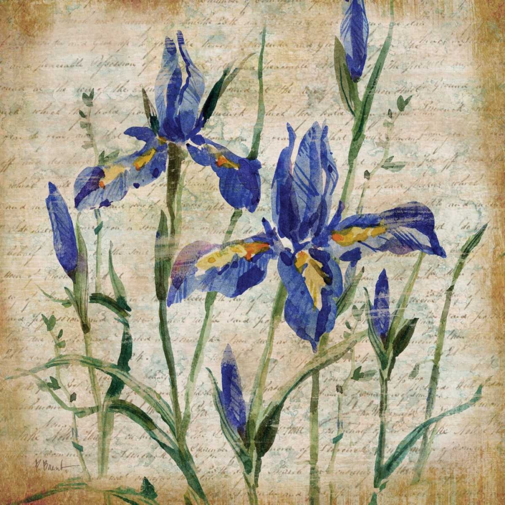 Poetic Garden IV art print by Paul Brent for $57.95 CAD