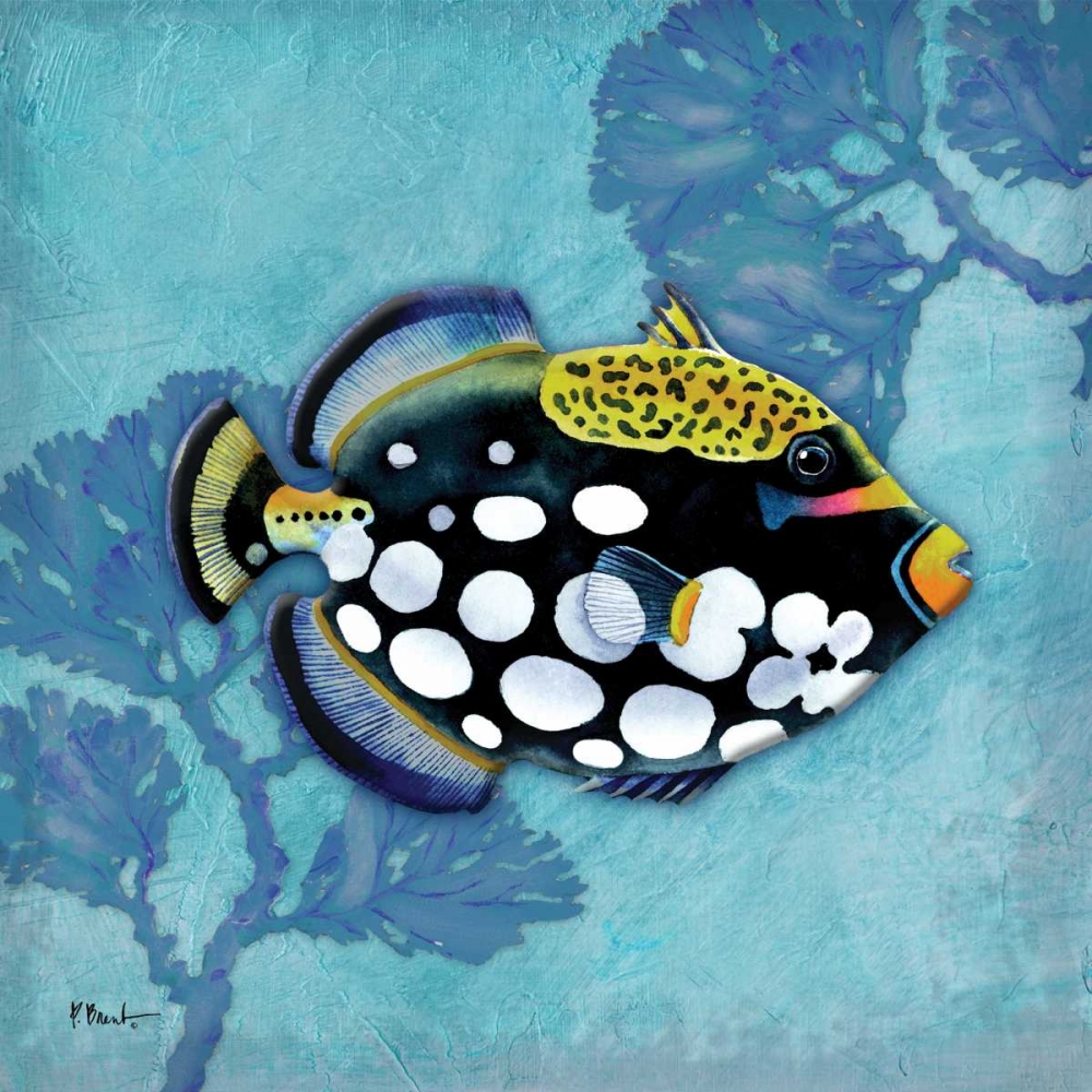 Azure Tropical Fish III art print by Paul Brent for $57.95 CAD