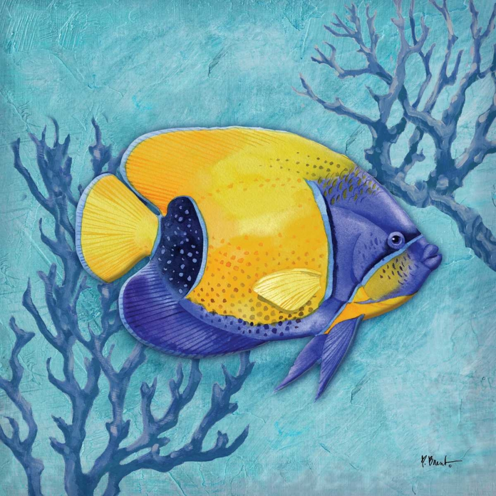 Azure Tropical Fish V art print by Paul Brent for $57.95 CAD