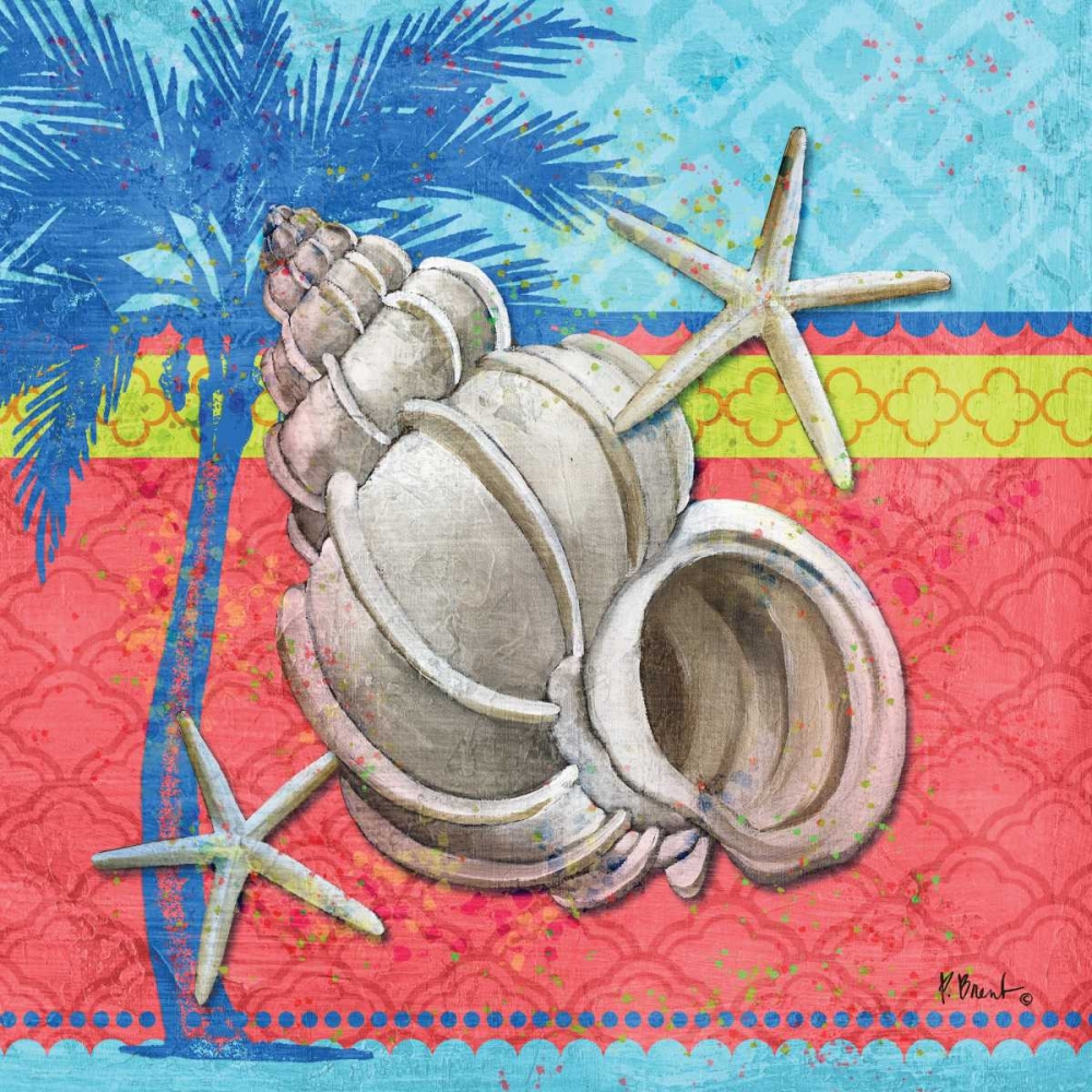 Pacific Shells I art print by Paul Brent for $57.95 CAD