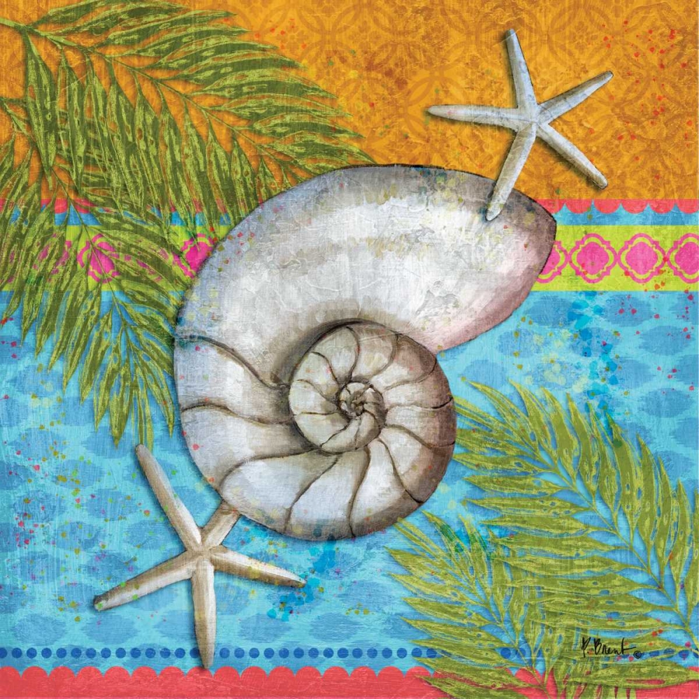Pacific Shells III art print by Paul Brent for $57.95 CAD