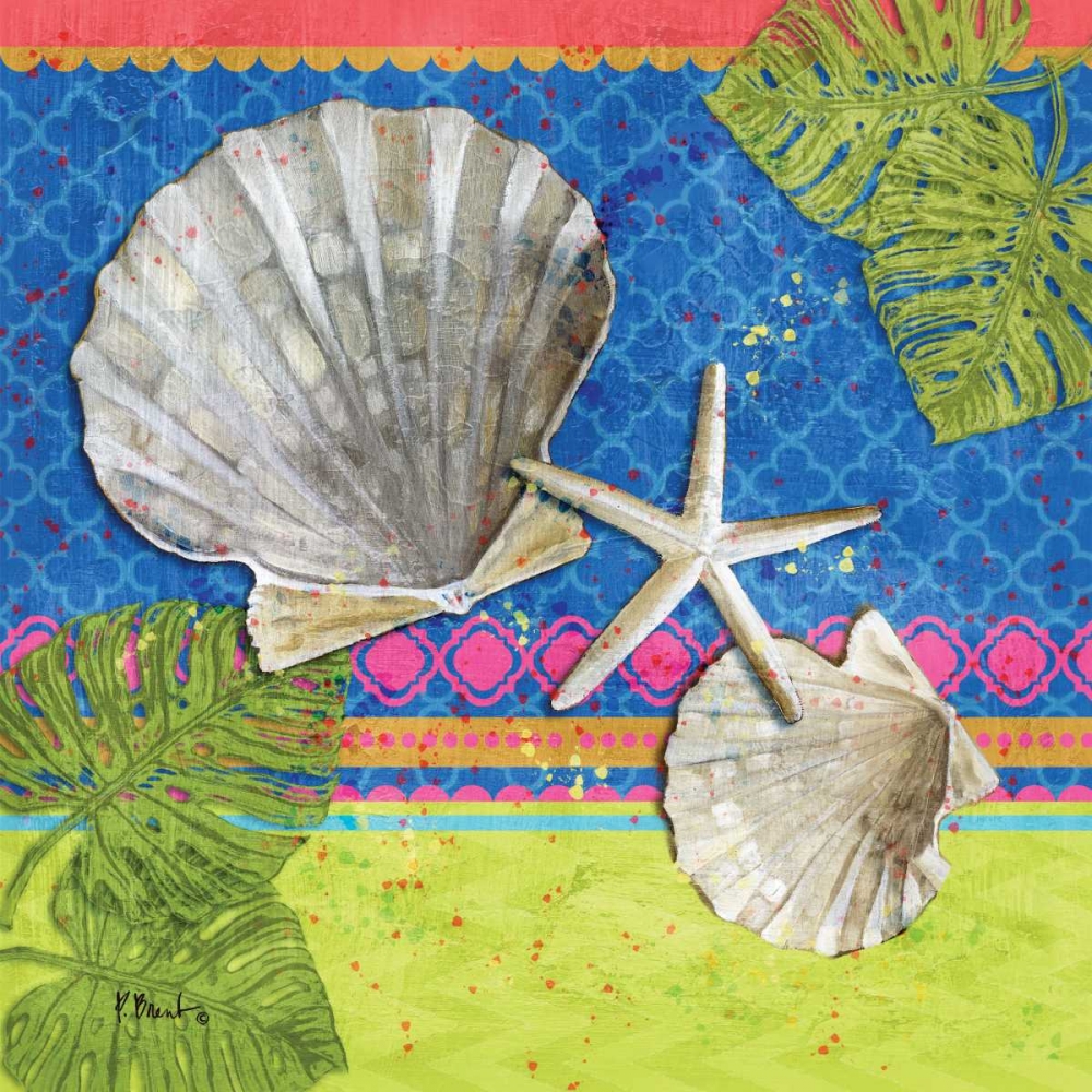 Pacific Shells IV art print by Paul Brent for $57.95 CAD