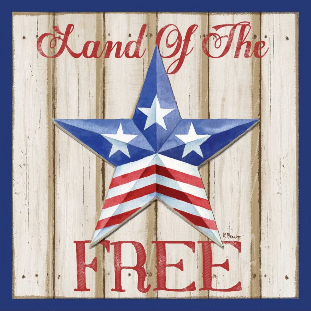 Patriotic Barn Star I art print by Paul Brent for $57.95 CAD