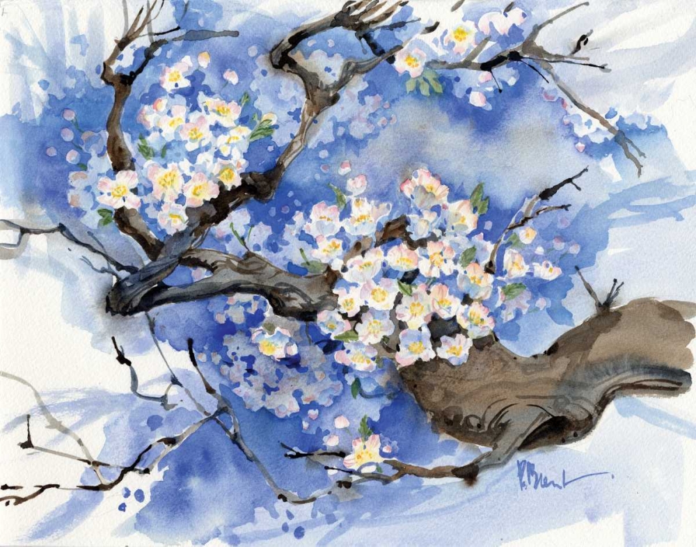 Cherry Blossoms II art print by Paul Brent for $57.95 CAD