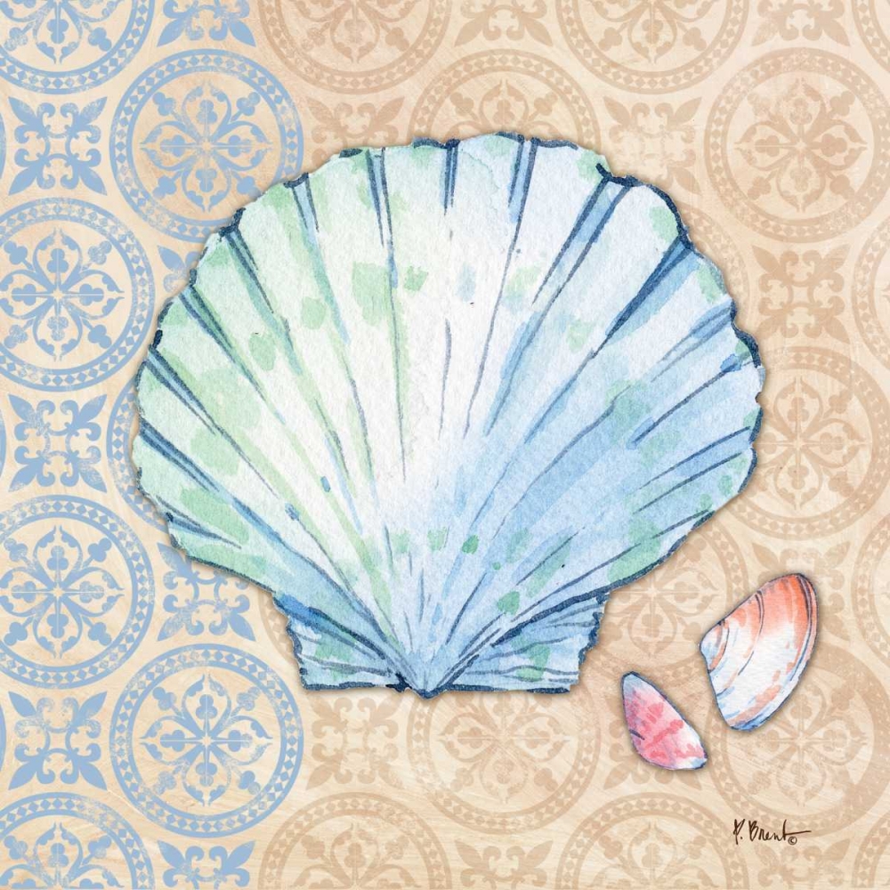 Serene Seashells I art print by Paul Brent for $57.95 CAD