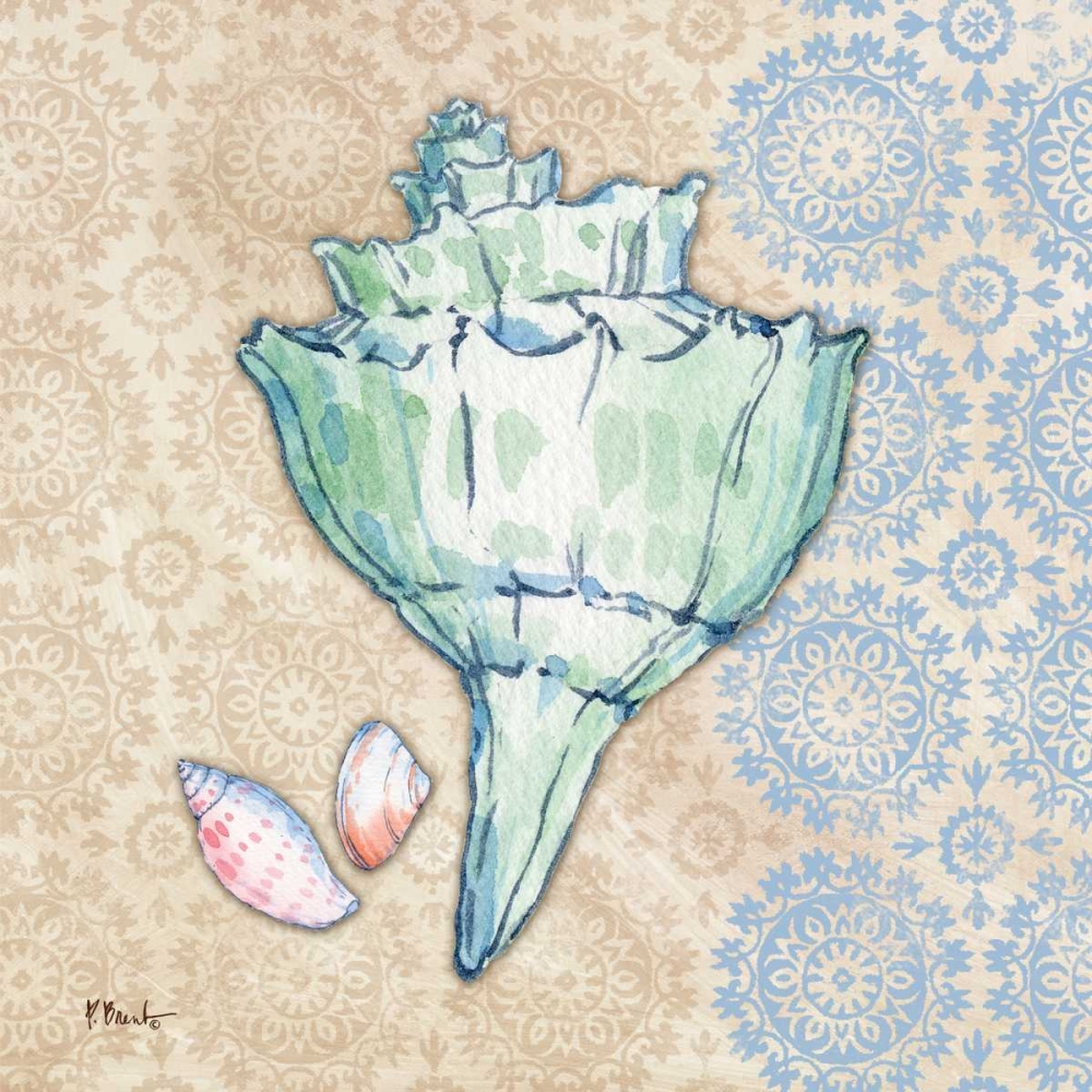 Serene Seashells IV art print by Paul Brent for $57.95 CAD