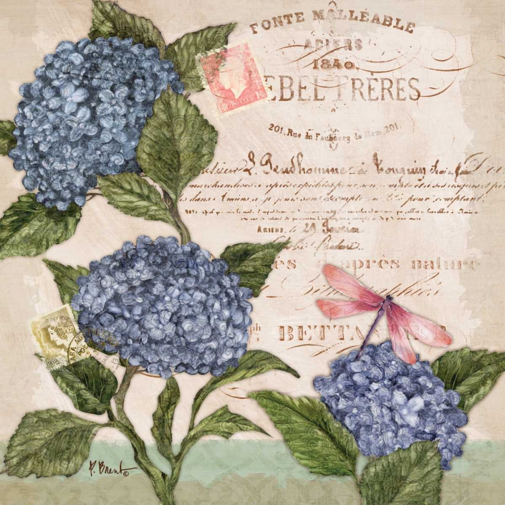 Parisian Hydrangeas I art print by Paul Brent for $57.95 CAD