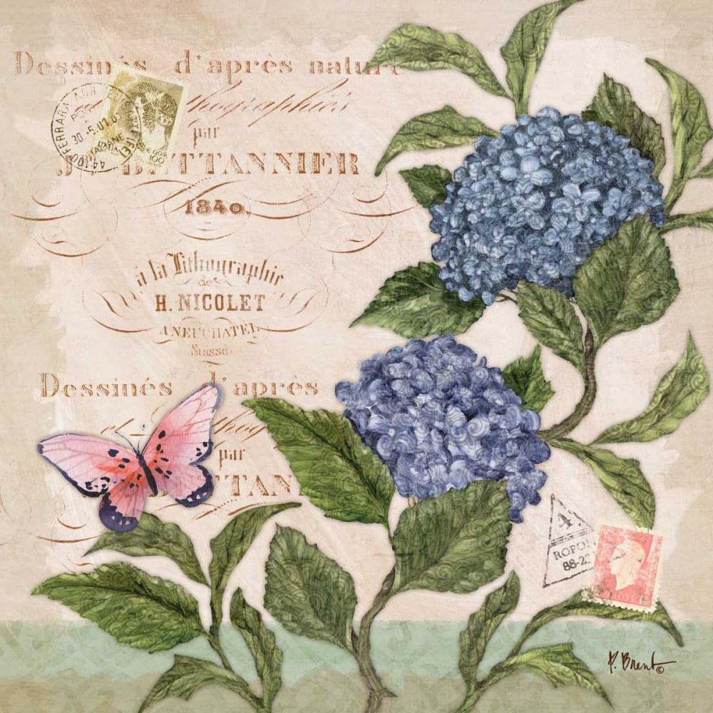 Parisian Hydrangeas II art print by Paul Brent for $57.95 CAD