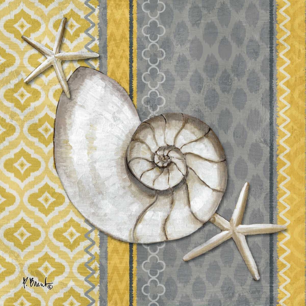Santa Cruz Shells I art print by Paul Brent for $57.95 CAD