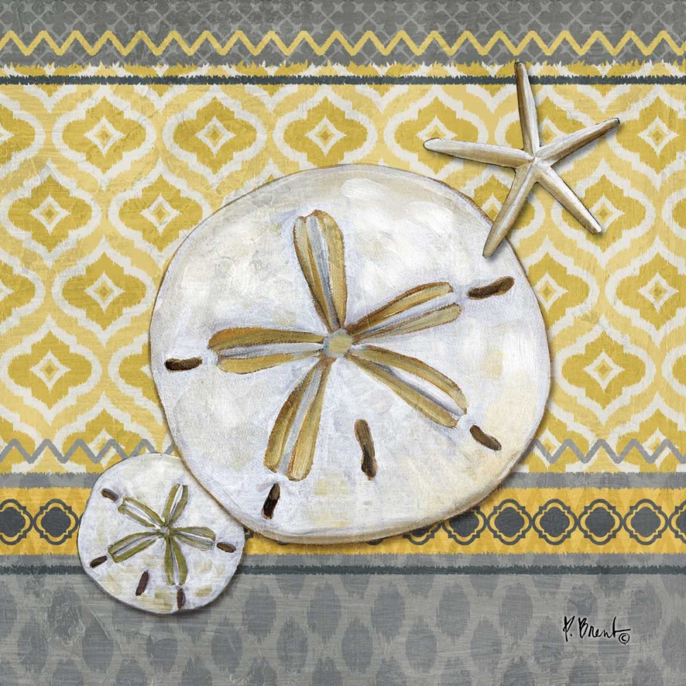 Santa Cruz Shells II art print by Paul Brent for $57.95 CAD