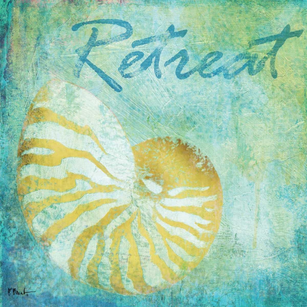 Caribbean Shells I art print by Paul Brent for $57.95 CAD