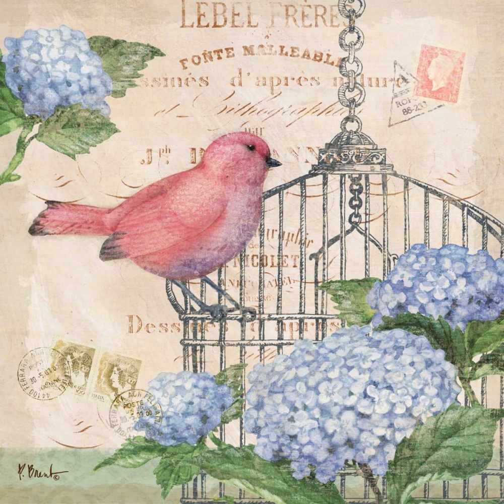 Bella Flora I art print by Paul Brent for $57.95 CAD