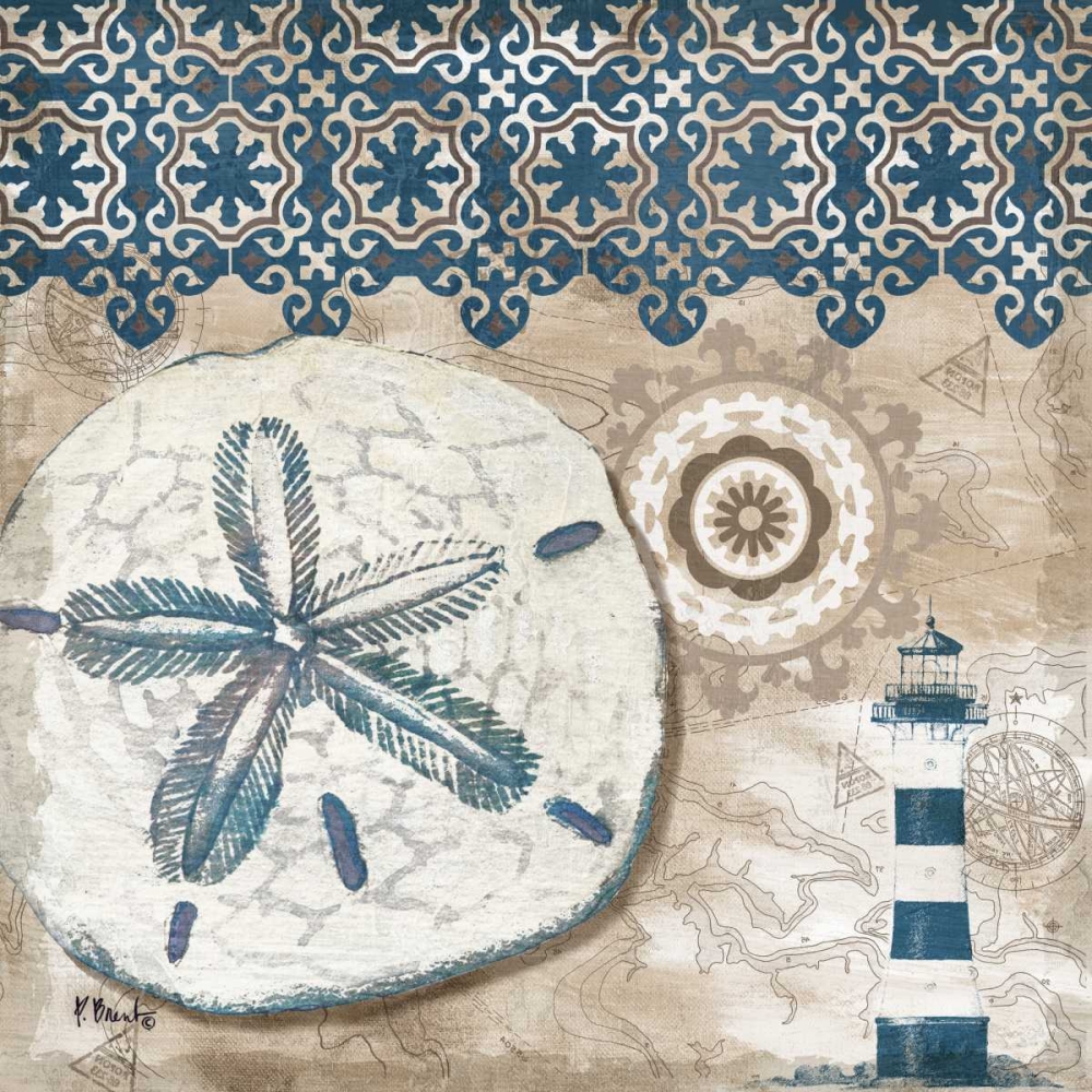 Tide Pool Shells IV art print by Paul Brent for $57.95 CAD