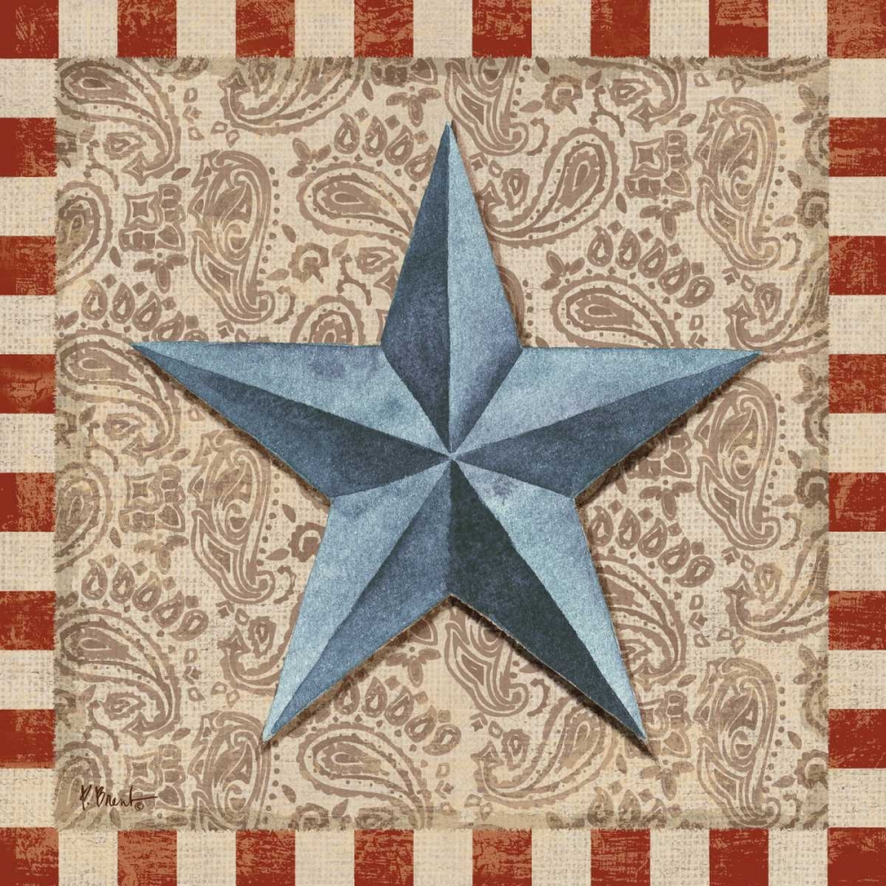American Barn Star II art print by Paul Brent for $57.95 CAD