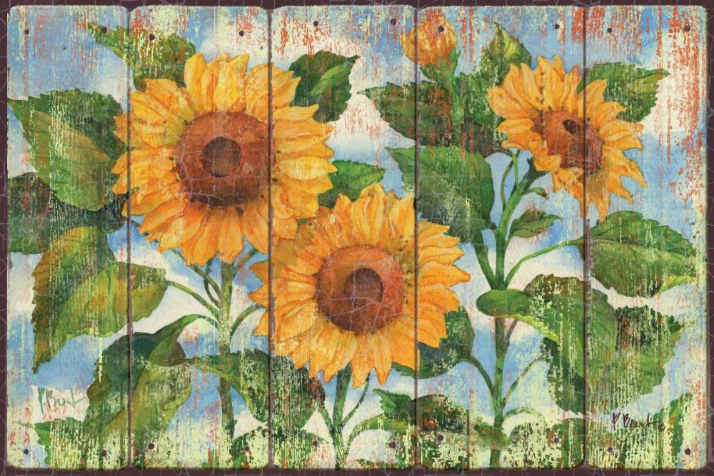 Summer Sunflowers art print by Paul Brent for $57.95 CAD