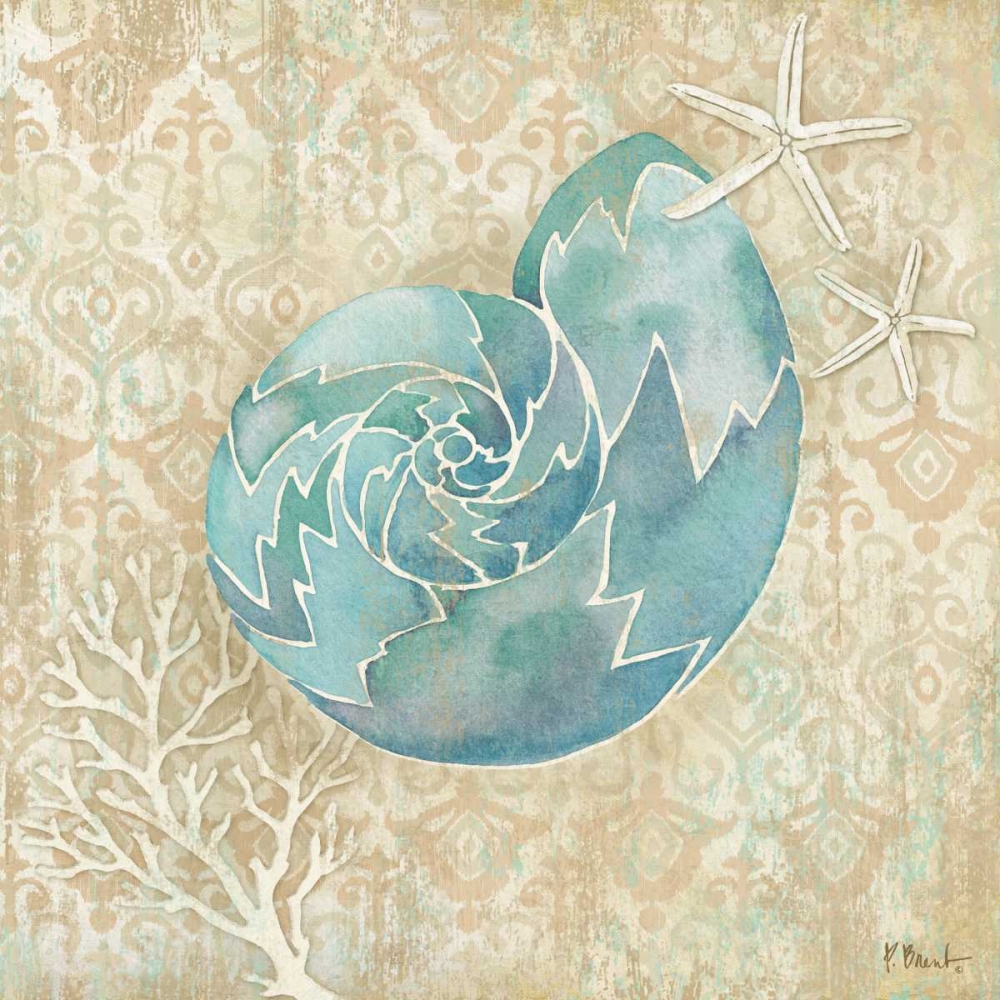 Laguna Shells II art print by Paul Brent for $57.95 CAD
