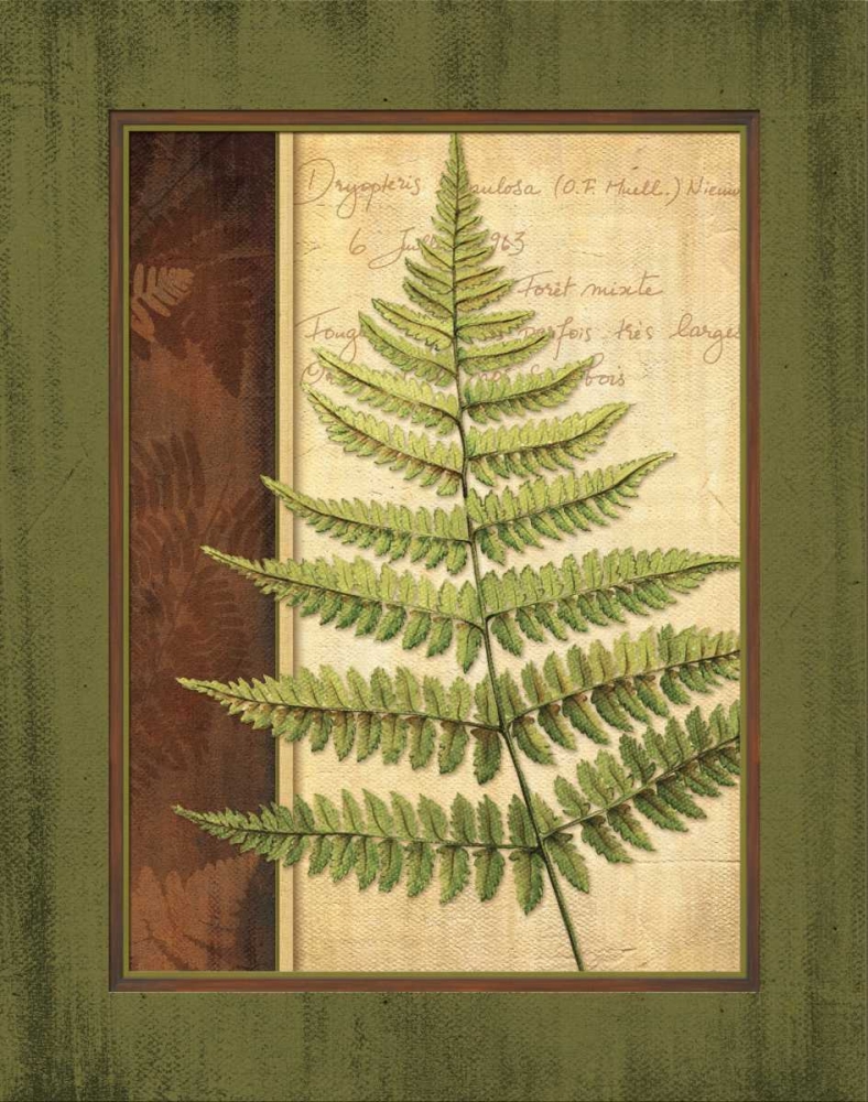 Fern Grotto I art print by Delphine Corbin for $57.95 CAD