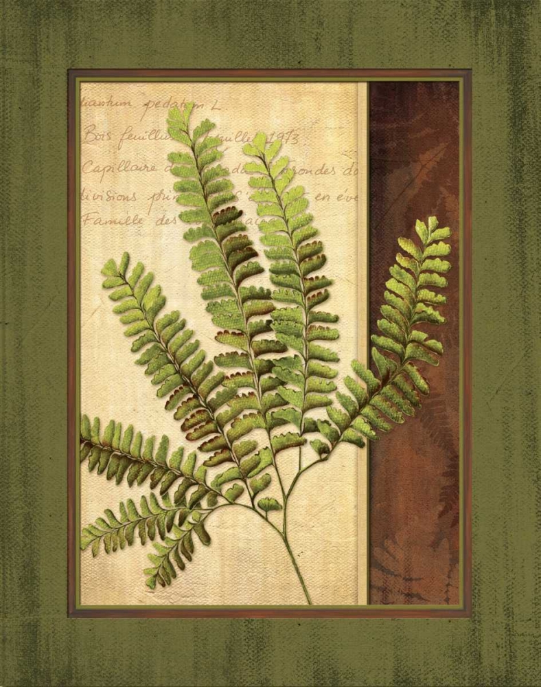 Fern Grotto II art print by Delphine Corbin for $57.95 CAD