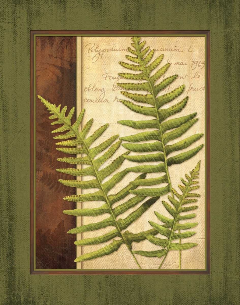 Fern Grotto III art print by Delphine Corbin for $57.95 CAD